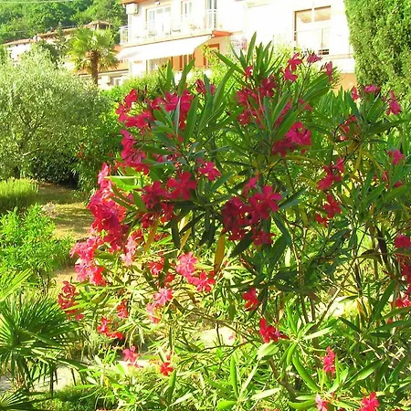 Amelia Apartament Mošćenička Draga
